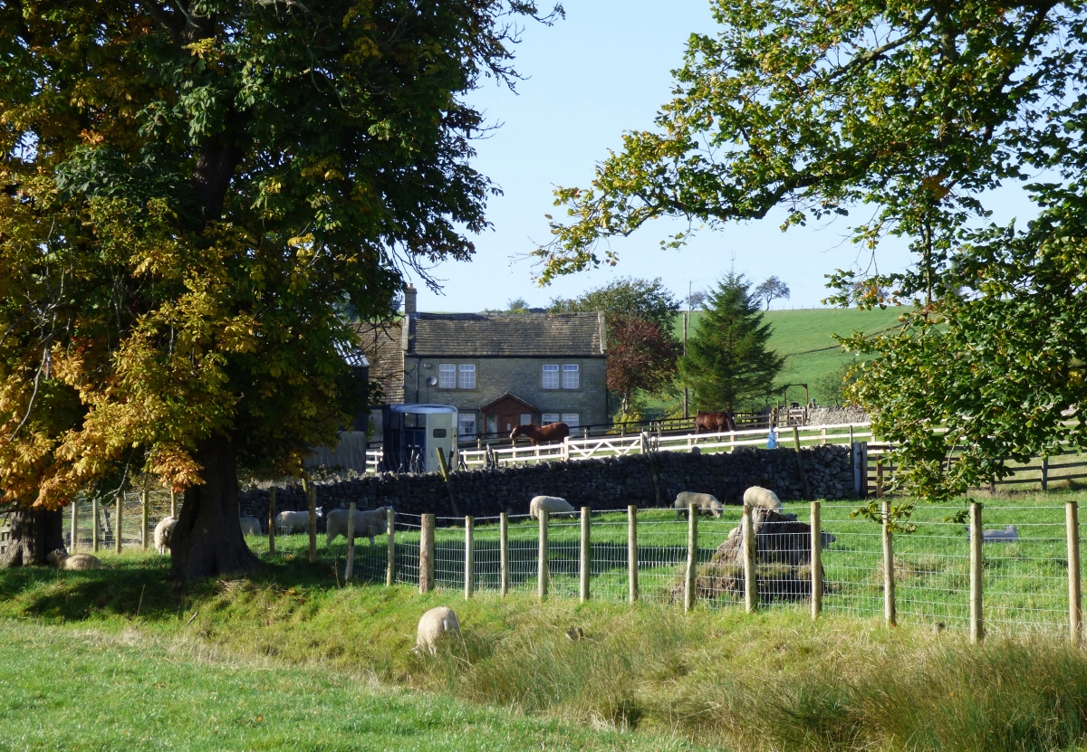 Ingber House enjoys rural seclusion with fantastic countryside views